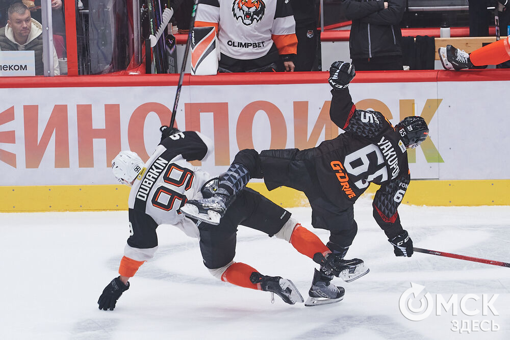 "Авангард" на своём льду победил "Амур". Фото: Илья Петров