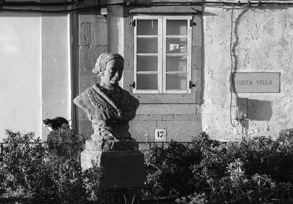 Юрий Пальмин. Экспозиция "Котофот"