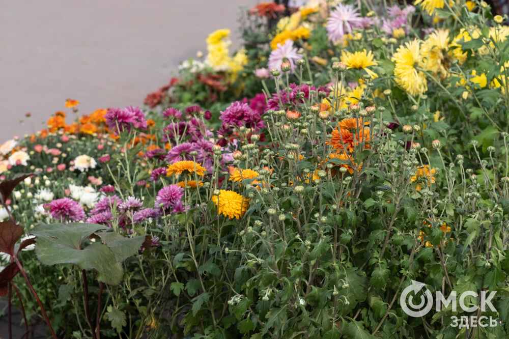 В Омской крепости прошёл фестиваль, посвящённый новому урожаю и историческим блюдам. Фото: Елизавета Медведева