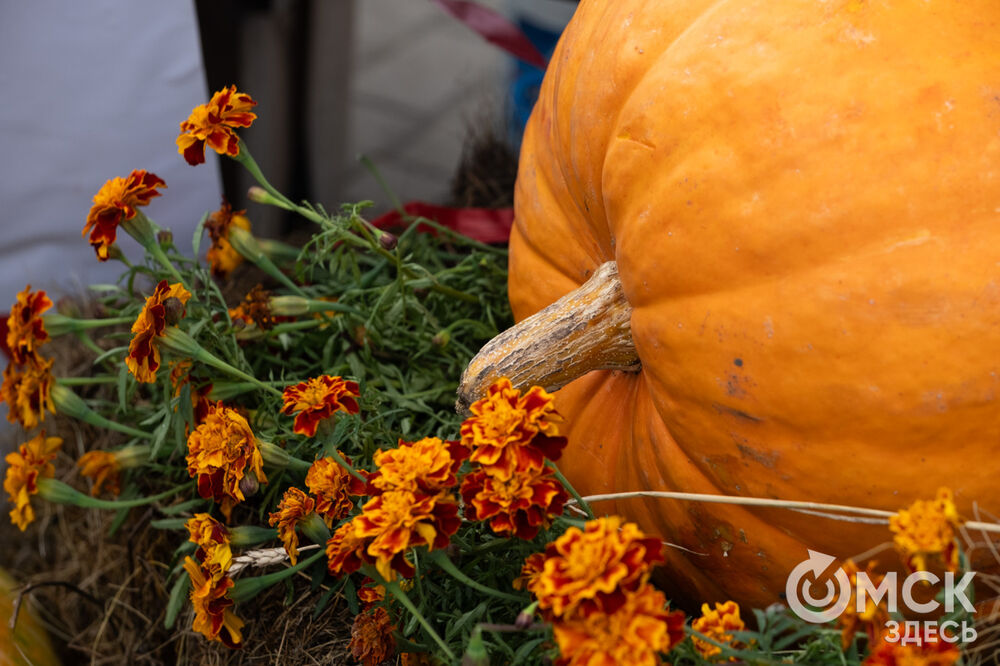 В Омской крепости прошёл фестиваль, посвящённый новому урожаю и историческим блюдам. Фото: Елизавета Медведева