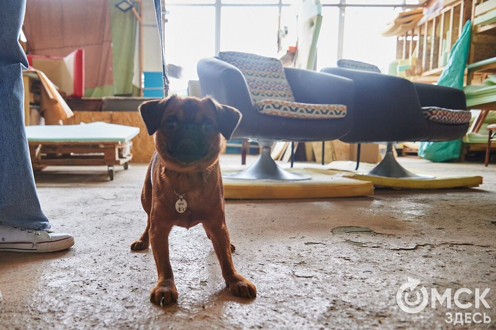 Реставрация мебели 1980-х годов из СКК им. В. Блинова. Фото: Илья Петров, "Омск Здесь"