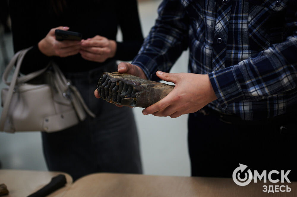 В Омске прошёл фестивлаь "День рождения Сибирского кроманьонца" (12+). Фото: Илья Петров