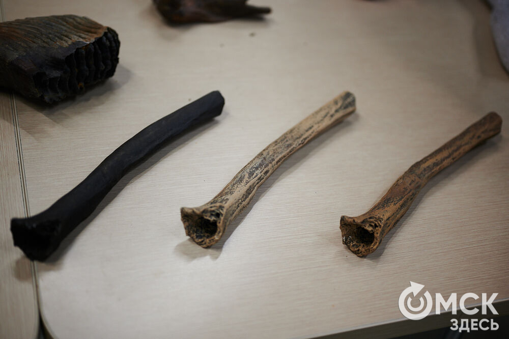 В Омске прошёл фестивлаь "День рождения Сибирского кроманьонца" (12+). Фото: Илья Петров