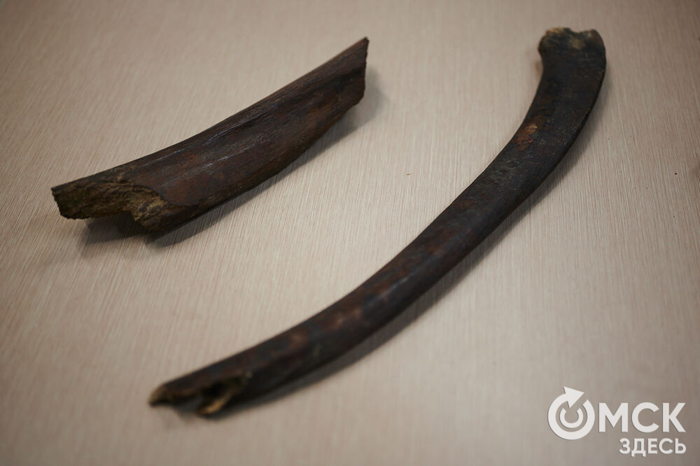 В Омске прошёл фестивлаь "День рождения Сибирского кроманьонца" (12+). Фото: Илья Петров