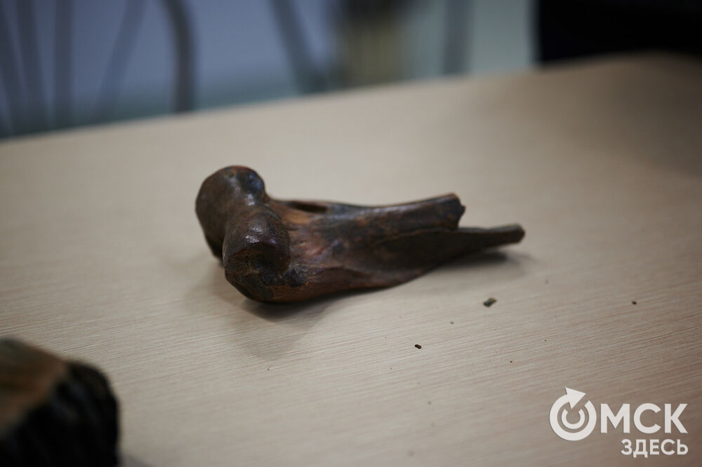 В Омске прошёл фестивлаь "День рождения Сибирского кроманьонца" (12+). Фото: Илья Петров