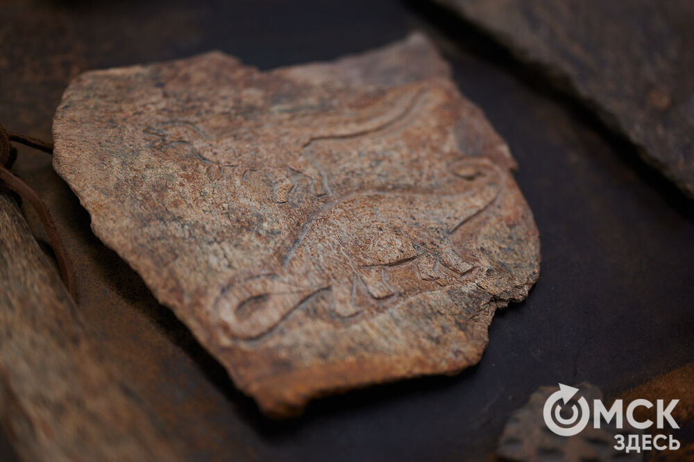 В Омске прошёл фестивлаь "День рождения Сибирского кроманьонца" (12+). Фото: Илья Петров