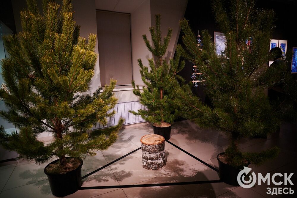 В музее "Искусство Омска" открылась самая ёлочная выставка (0+), где символом праздника может быть почти всё что угодно. Фото: Илья Петров
