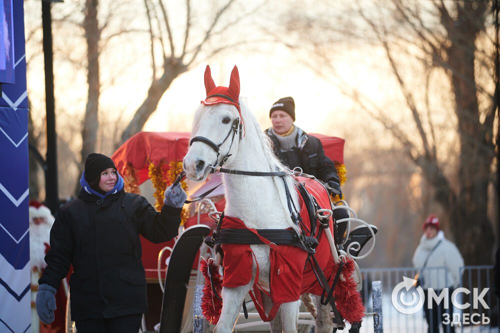 На Зелёном острове состоялся предновогодний фестиваль "Сибирские забавушки" (6+). Фото: Илья Петров