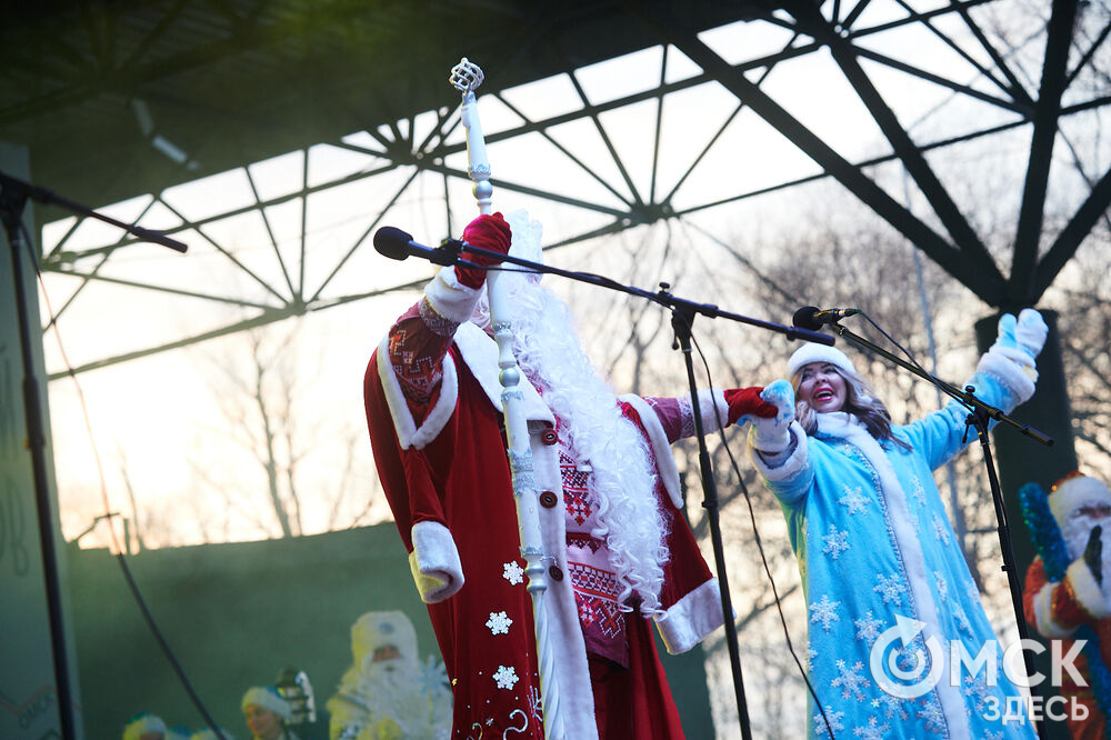 На Зелёном острове состоялся предновогодний фестиваль "Сибирские забавушки" (6+). Фото: Илья Петров