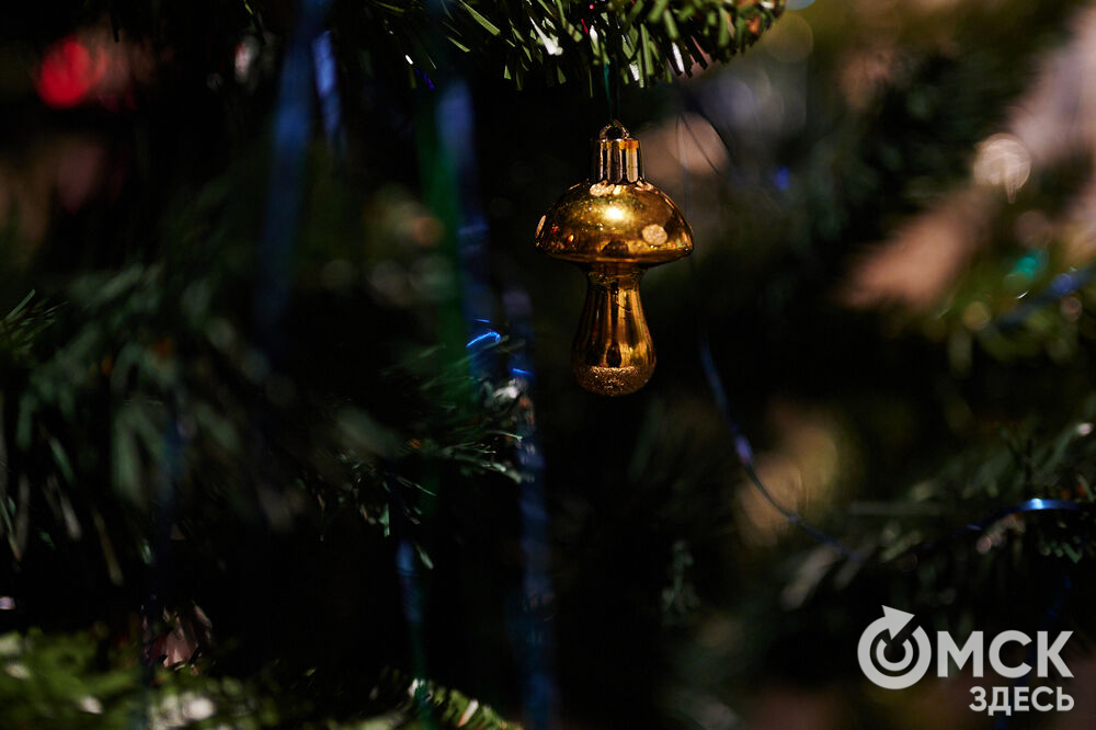 В музее имени М. А. Врубеля открылась выставка, вдохновлённая заснеженной красотой и предчувствием чуда. Фото: Илья Петров