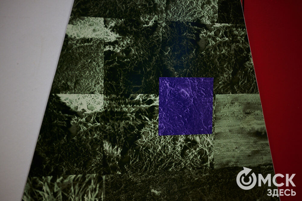 В Омской Арт-резиденции открылась выставка "След" (16+). Фото: Илья Петров