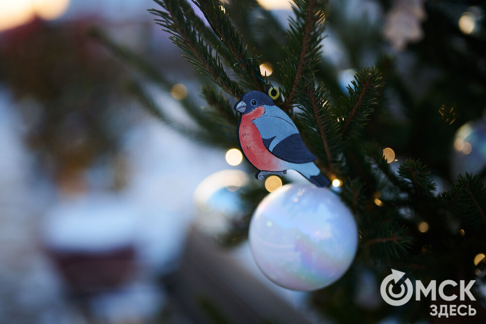 Омичи прогулялись по новым локациям "Зимнего Любинского" (0+) и зажгли в танцах с Кощеем Бессмертным. Фото: Илья Петров