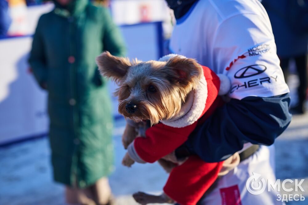 О победителях и тех, кого ещё можно было встретить на зимнем забеге, рассказываем здесь . Фото: Илья Петров