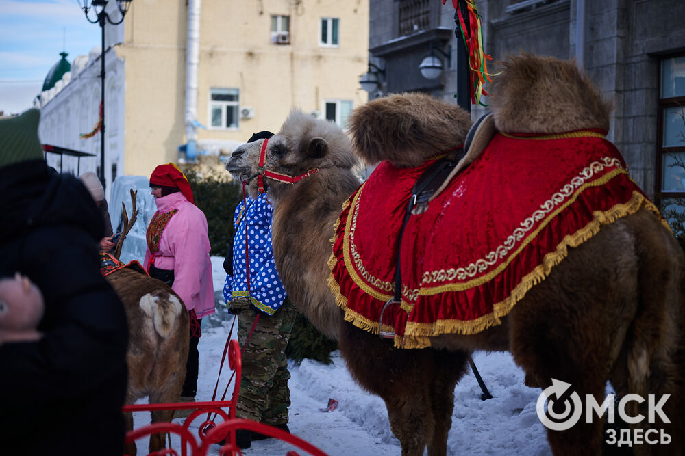 Омичи с размахом проводили зиму-2026