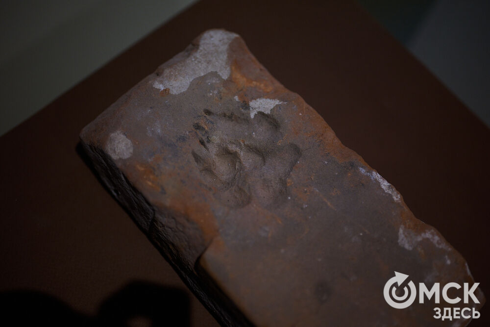 В Омской крепости состоялось открытие нового выставочного пространства под названием "Кирпич Достоевского". Фото: Илья Петров