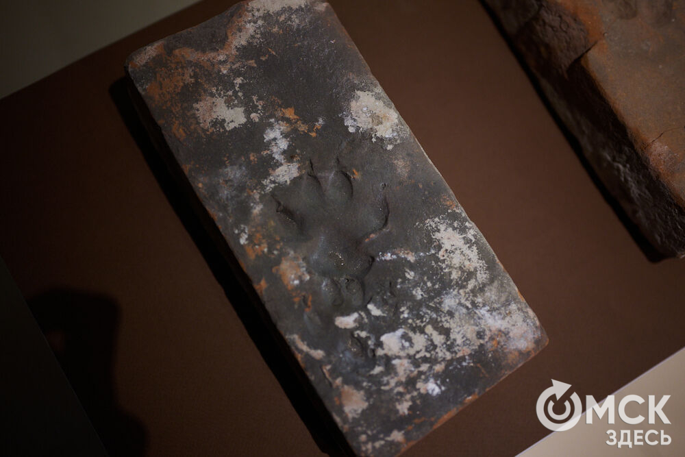 В Омской крепости состоялось открытие нового выставочного пространства под названием "Кирпич Достоевского". Фото: Илья Петров