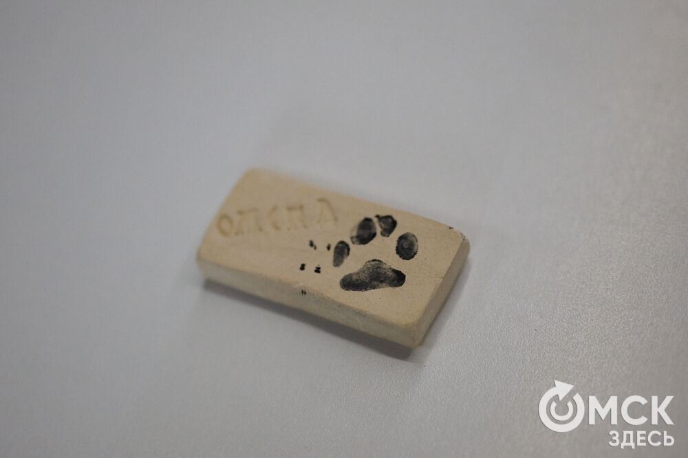 В Омской крепости состоялось открытие нового выставочного пространства под названием "Кирпич Достоевского". Фото: Илья Петров