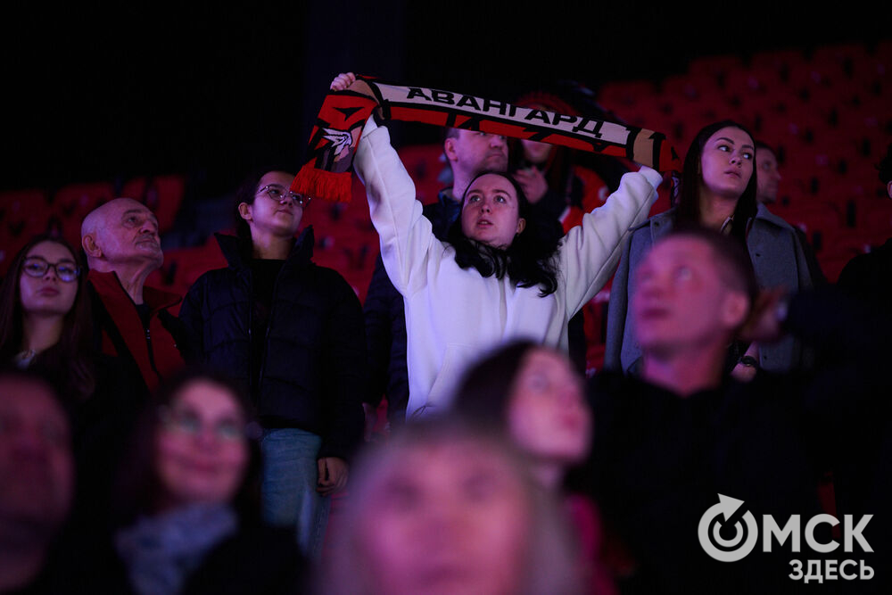 "Омские крылья" одержали победу над "Челметом" в домашнем матче на обновлённом СКК. Фото: Илья Петров