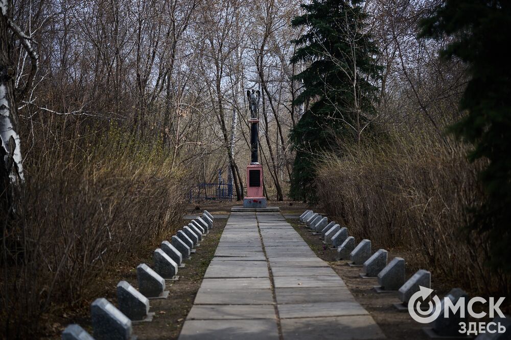 Одно из омских кладбищ, где на Радоницу не увидеть свежих цветов. Фото: Илья Петров