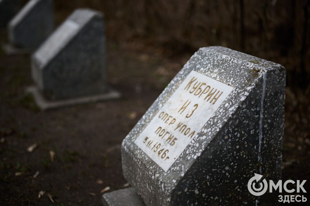 Одно из омских кладбищ, где на Радоницу не увидеть свежих цветов. Фото: Илья Петров