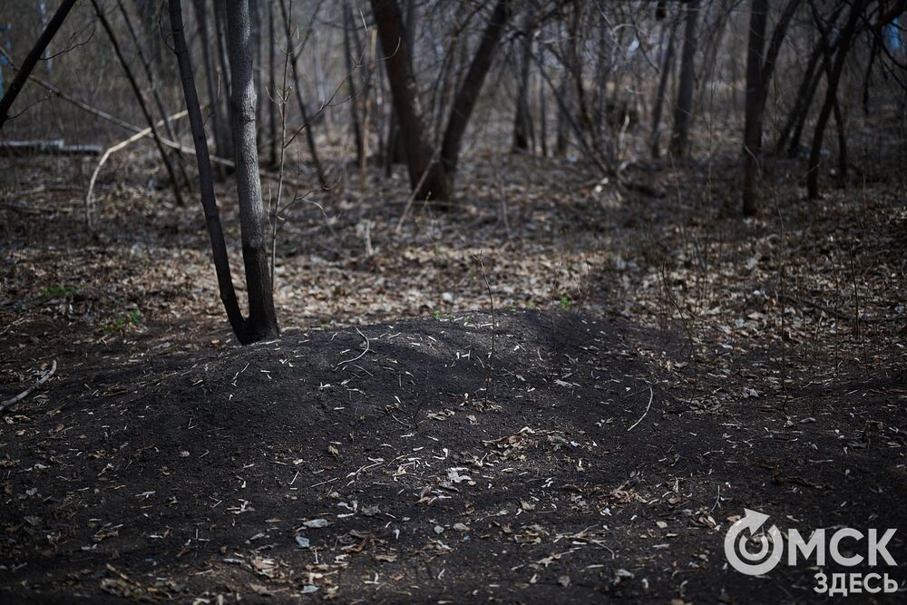 Одно из омских кладбищ, где на Радоницу не увидеть свежих цветов. Фото: Илья Петров