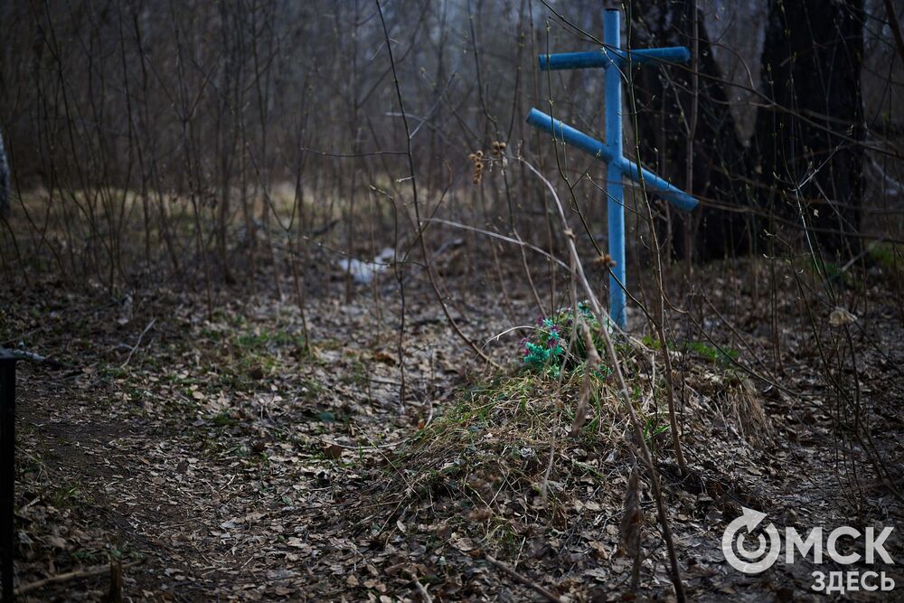Одно из омских кладбищ, где на Радоницу не увидеть свежих цветов. Фото: Илья Петров
