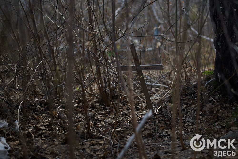 Одно из омских кладбищ, где на Радоницу не увидеть свежих цветов. Фото: Илья Петров