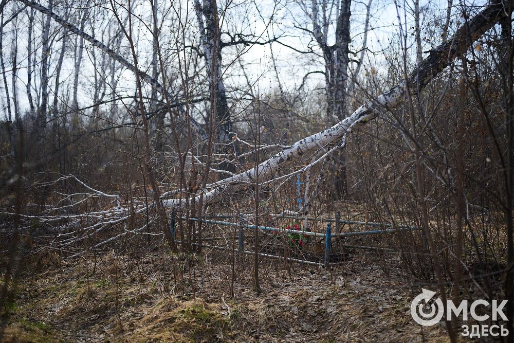 Одно из омских кладбищ, где на Радоницу не увидеть свежих цветов. Фото: Илья Петров