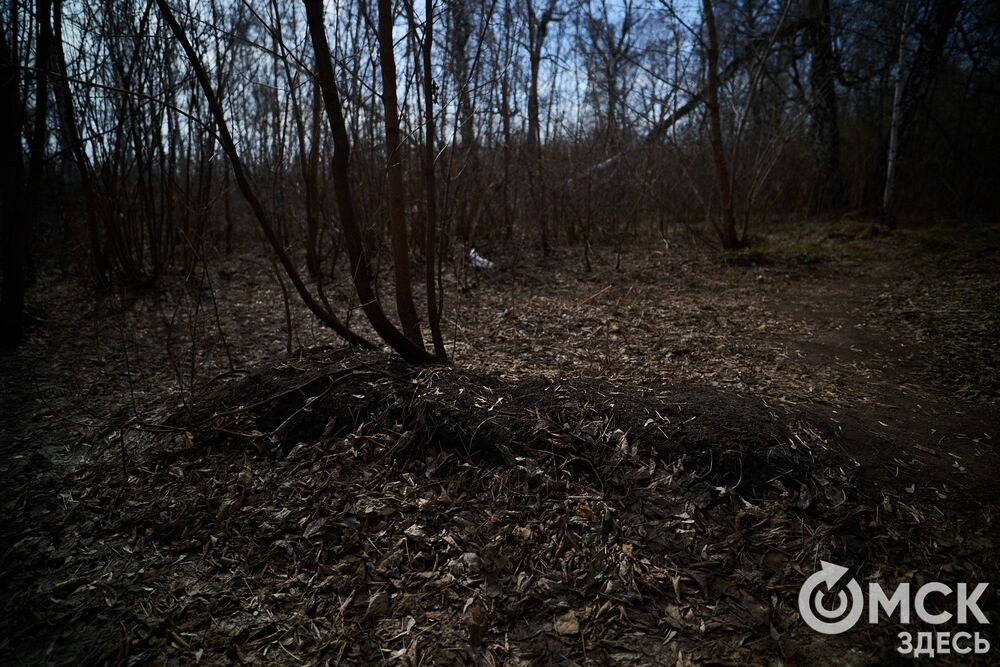 Одно из омских кладбищ, где на Радоницу не увидеть свежих цветов. Фото: Илья Петров