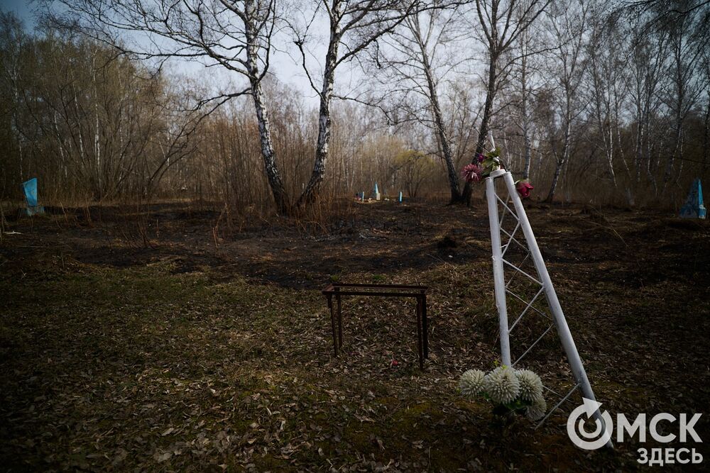 Одно из омских кладбищ, где на Радоницу не увидеть свежих цветов. Фото: Илья Петров