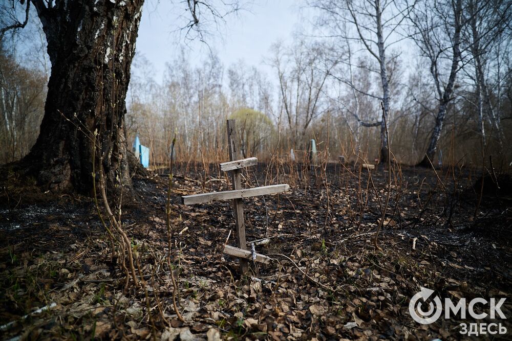 Одно из омских кладбищ, где на Радоницу не увидеть свежих цветов. Фото: Илья Петров