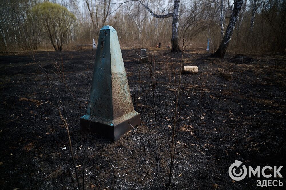 Одно из омских кладбищ, где на Радоницу не увидеть свежих цветов. Фото: Илья Петров