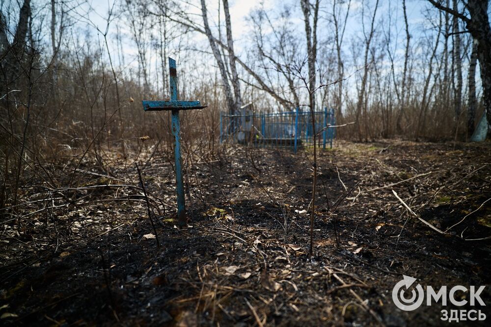 Одно из омских кладбищ, где на Радоницу не увидеть свежих цветов. Фото: Илья Петров