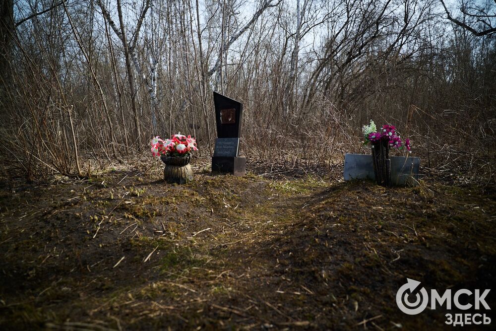 Одно из омских кладбищ, где на Радоницу не увидеть свежих цветов. Фото: Илья Петров