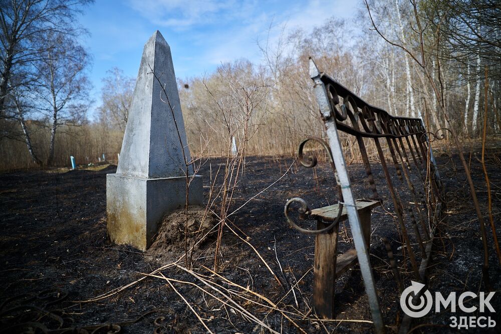 Одно из омских кладбищ, где на Радоницу не увидеть свежих цветов. Фото: Илья Петров