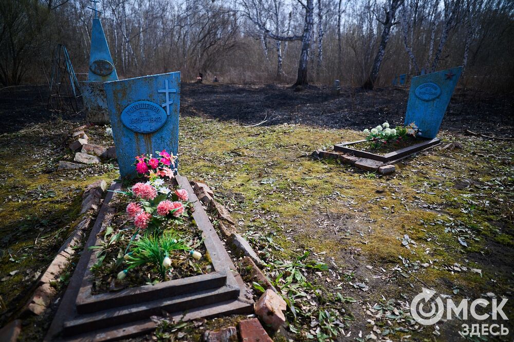 Одно из омских кладбищ, где на Радоницу не увидеть свежих цветов. Фото: Илья Петров