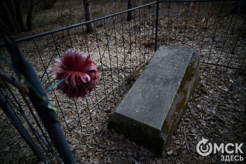 Одно из омских кладбищ, где на Радоницу не увидеть свежих цветов. Фото: Илья Петров