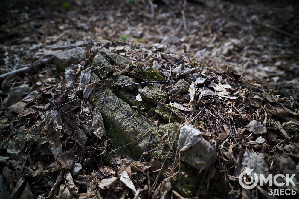 Одно из омских кладбищ, где на Радоницу не увидеть свежих цветов. Фото: Илья Петров