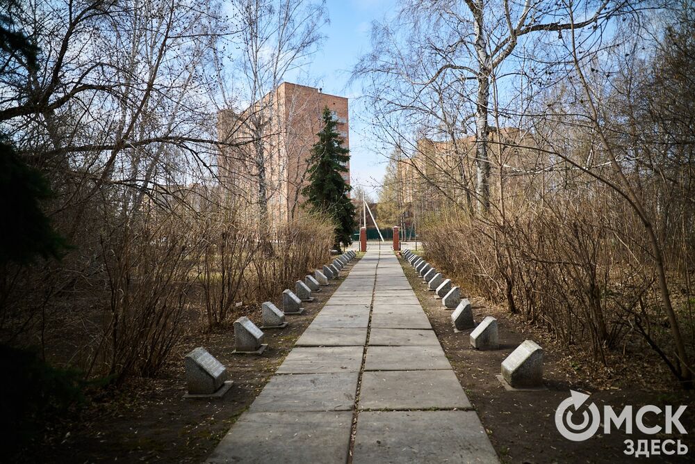 Одно из омских кладбищ, где на Радоницу не увидеть свежих цветов. Фото: Илья Петров