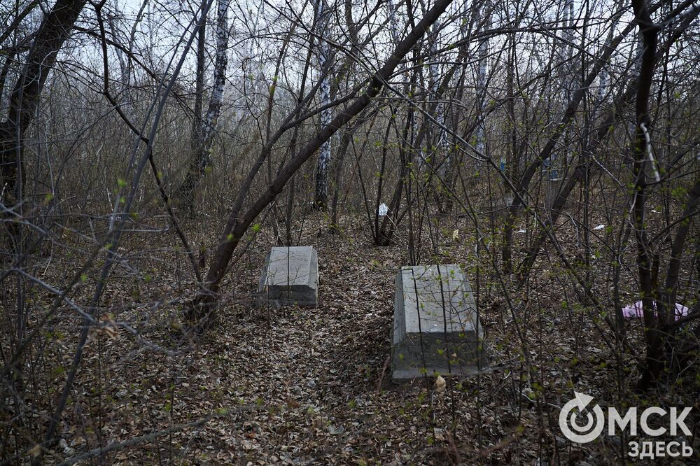 Одно из омских кладбищ, где на Радоницу не увидеть свежих цветов. Фото: Илья Петров