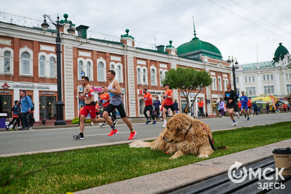 На трассу весеннего забега , пролегающую через исторический центр города и Иртышскую набережную, вышли омичи и гости города. Фото: Илья Петров
