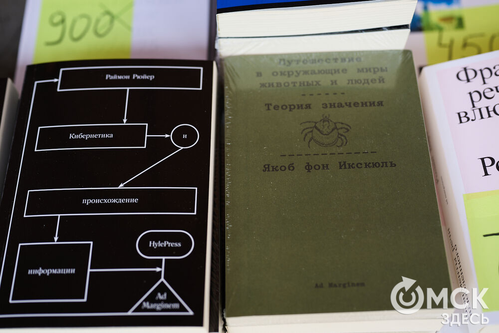 В Омске прошёл книжный фестиваль, где история любви встретилась с экономикой каменного века. Фото: Илья Петров