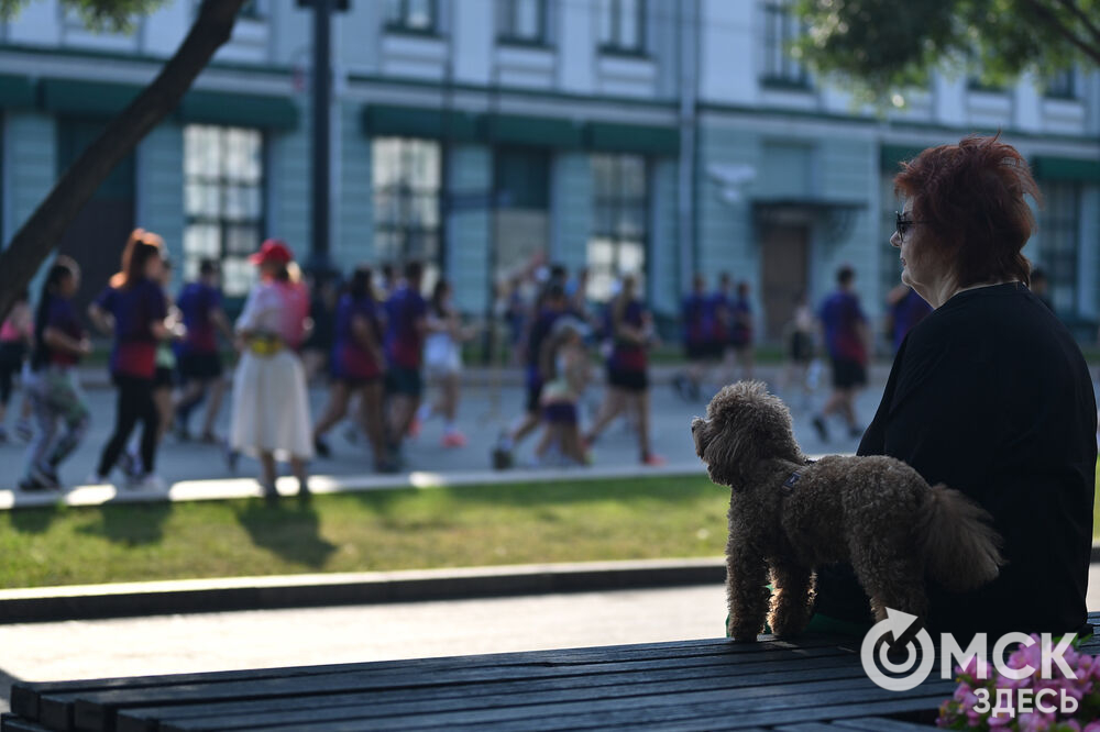 В День города Омска традиционно состоялся Сибирский международный марафон. Жара, как ни старалась, не заставила спортсменов сойти с дистанции. Подробнее здесь . Фото: Илья Петров