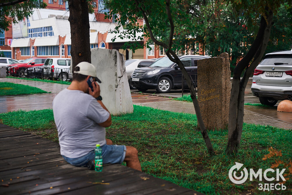 Аллея литераторов в Омске на бульваре Мартынова